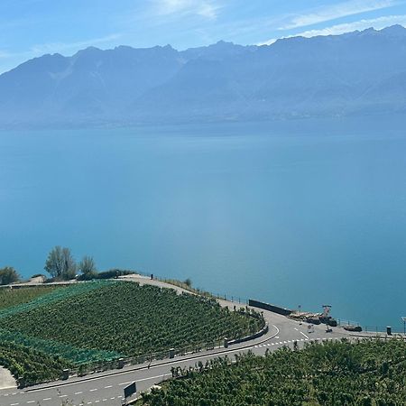 Room With 360° View Overlooking Lake Geneva And Alps Puidoux エクステリア 写真