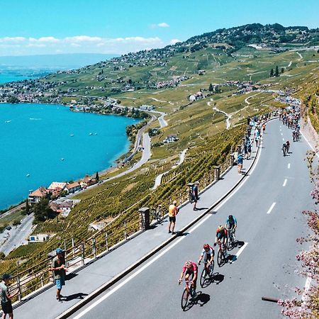 Room With 360° View Overlooking Lake Geneva And Alps Puidoux エクステリア 写真