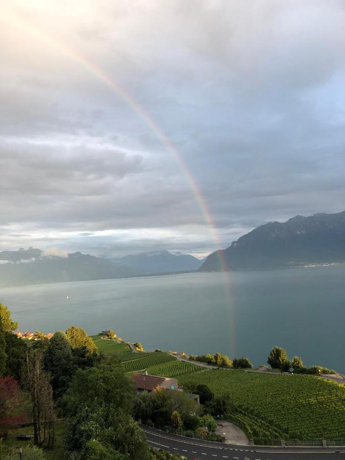 Room With 360° View Overlooking Lake Geneva And Alps Puidoux エクステリア 写真
