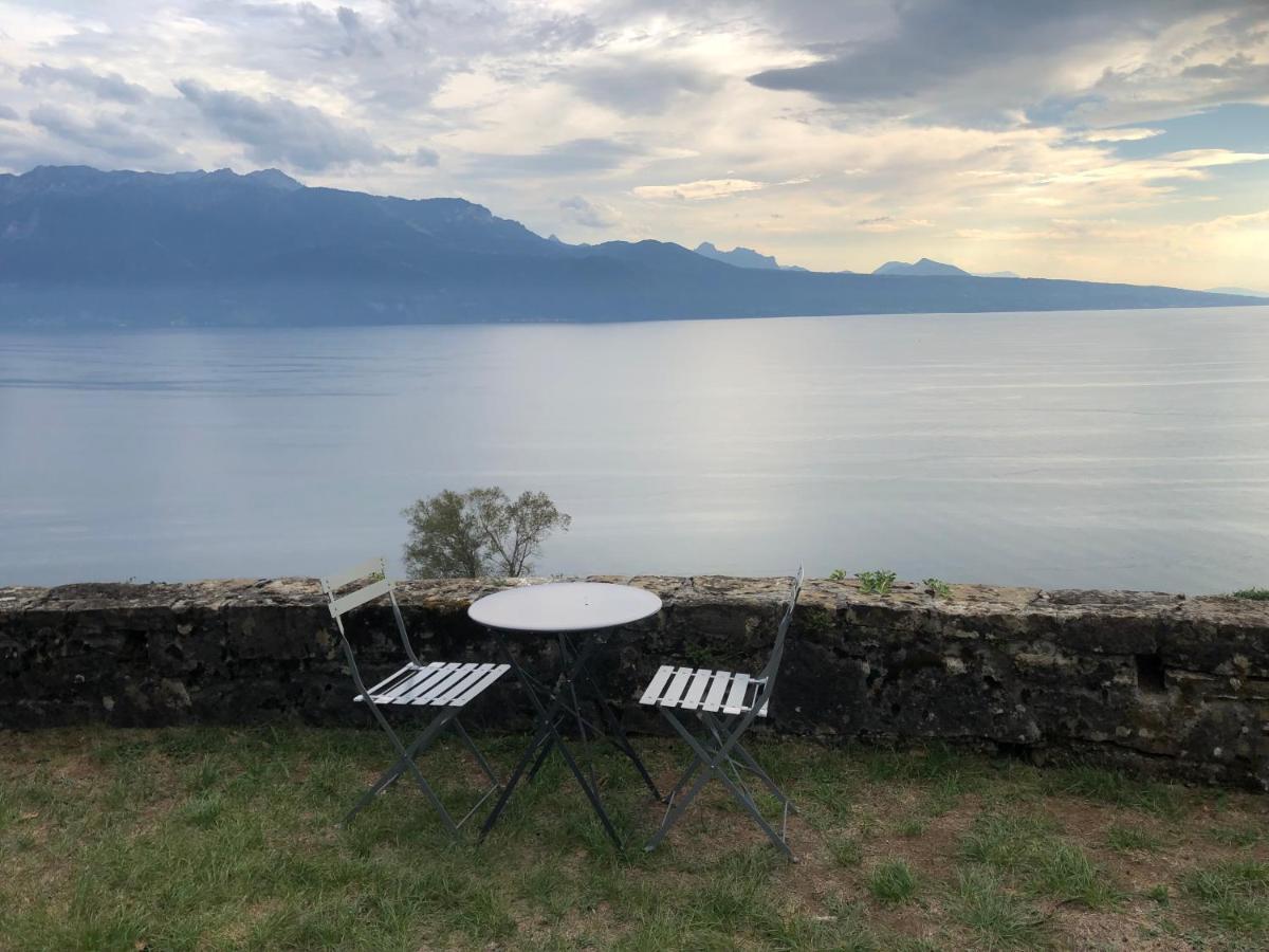 Room With 360° View Overlooking Lake Geneva And Alps Puidoux エクステリア 写真