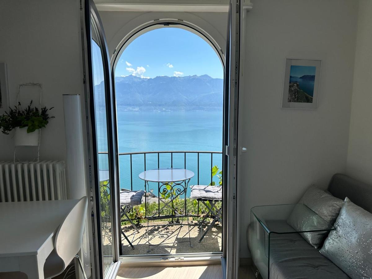 Room With 360° View Overlooking Lake Geneva And Alps Puidoux エクステリア 写真