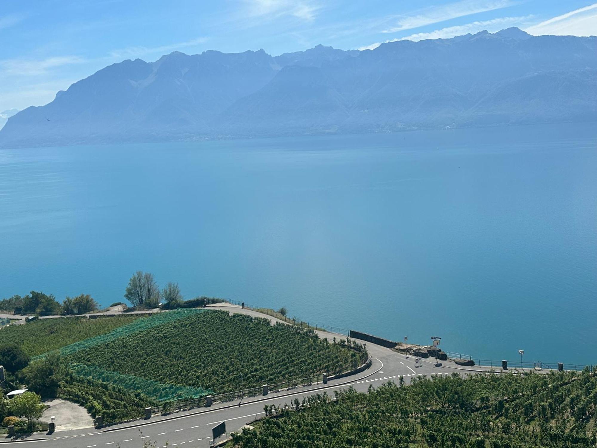 Room With 360° View Overlooking Lake Geneva And Alps Puidoux エクステリア 写真